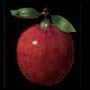 the apple